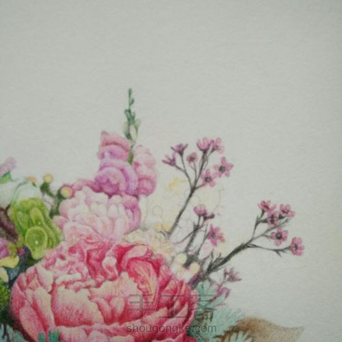 花 第18步