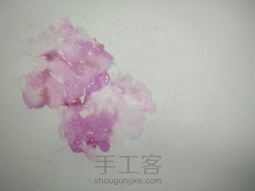 绣球花，水彩 第2步