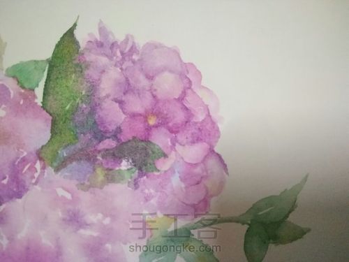 绣球花，水彩 第4步