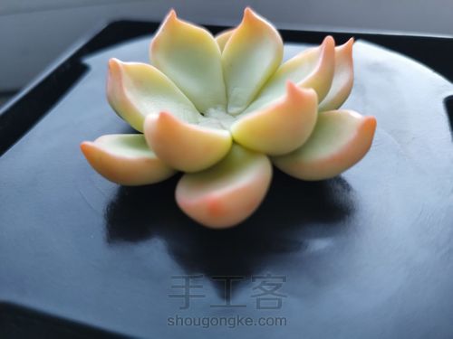 软陶多肉 第5步