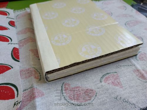 自制夏日西瓜🍉水彩手绘本 第5步