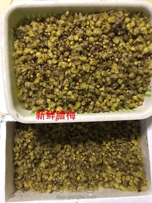 腊梅纯露滴滴至纯植物护肤，纯氧呼吸！ 第2步