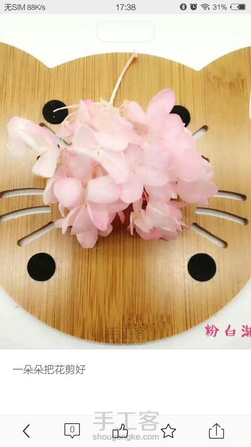 桃花灯泡（转） 第3步