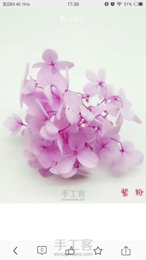 桃花灯泡（转） 第4步