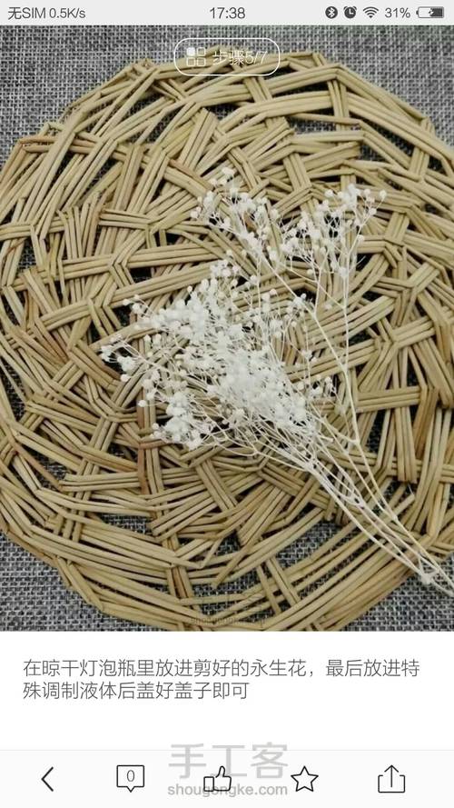 桃花灯泡（转） 第5步