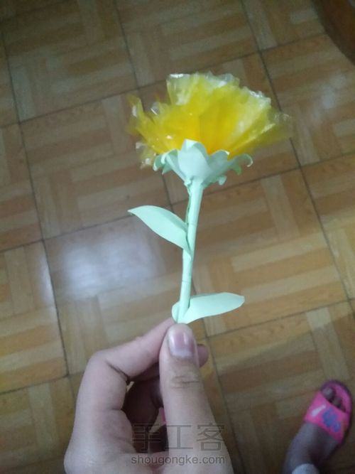 漂亮的康乃馨。(原创) 第3步