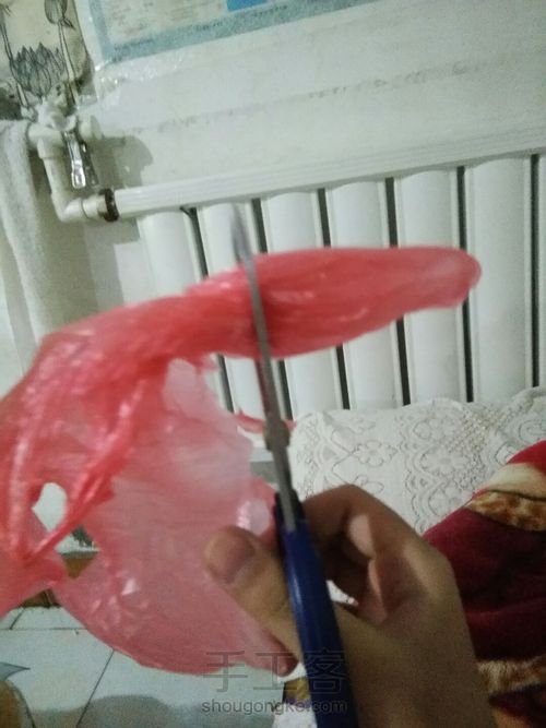 漂亮的康乃馨。(原创) 第5步