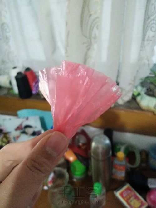 漂亮的康乃馨。(原创) 第6步