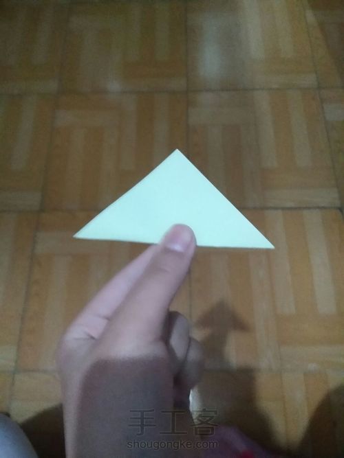 漂亮的康乃馨。(原创) 第8步