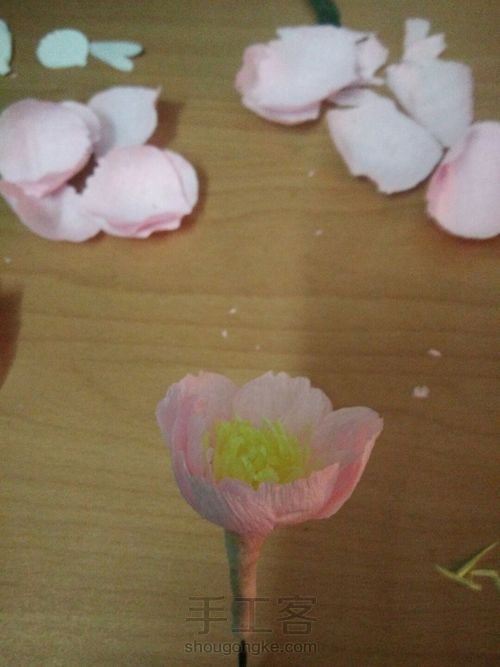 褶皱纸,牡丹花教程 第10步