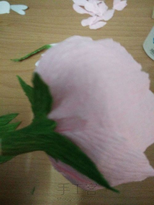 褶皱纸,牡丹花教程 第17步