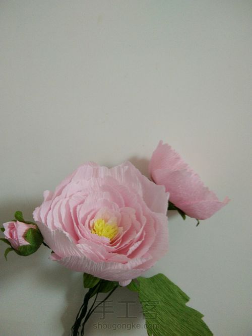 褶皱纸,牡丹花教程 第18步