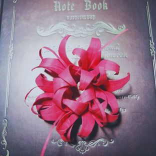 彼岸花 折纸教程