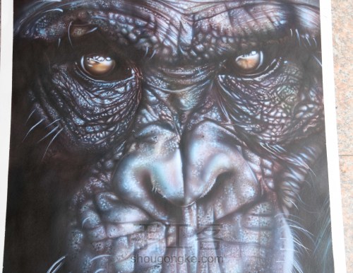 喷笔彩绘-黑猩猩 第3步