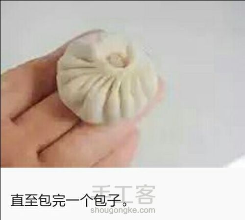 用饺子皮自制小笼包（转） 第12步