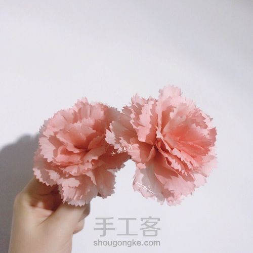 烫花、造花 康乃馨 第6步