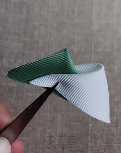 进阶教程～尖角双色花瓣（一） 第5步