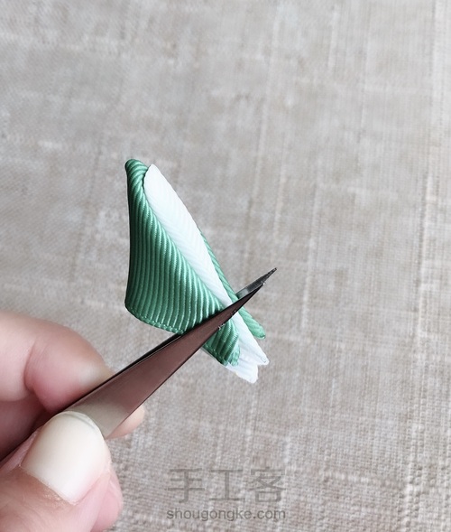 进阶教程～尖角双色花瓣（一） 第7步