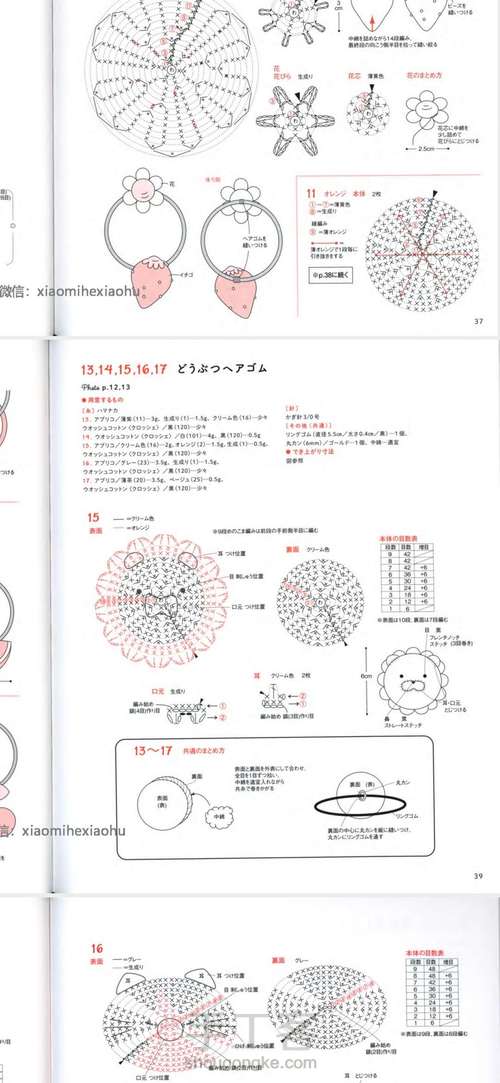 小狮子发圈 第9步