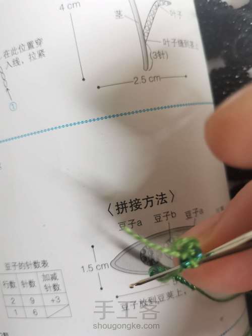 豌豆发夹 第1步