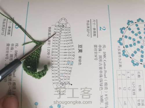 豌豆发夹 第5步