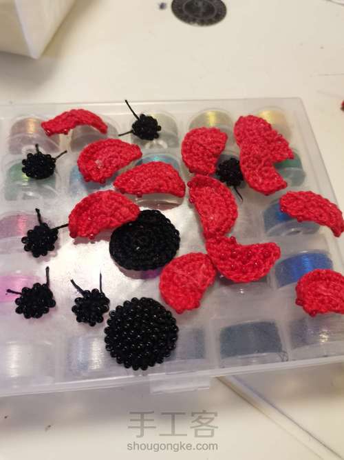 珠珠小瓢虫 第1步