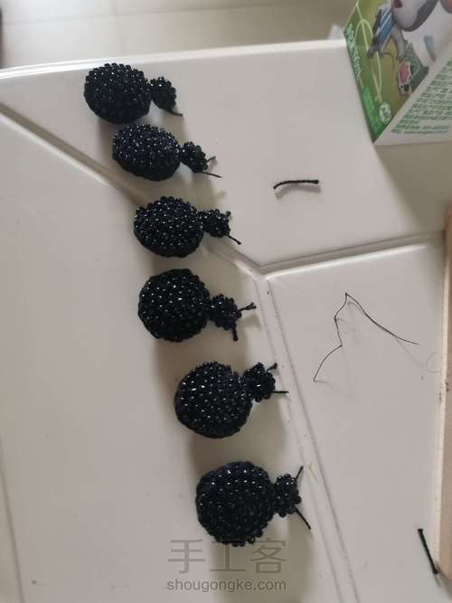 珠珠小瓢虫 第2步