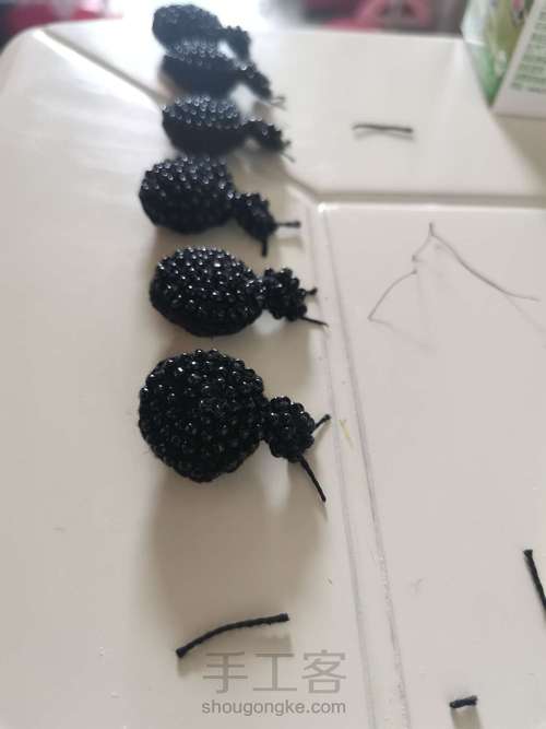 珠珠小瓢虫 第3步