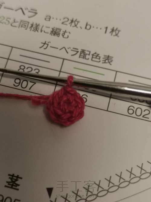 非洲菊发绳 第1步