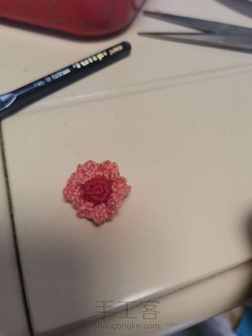 非洲菊发绳 第5步