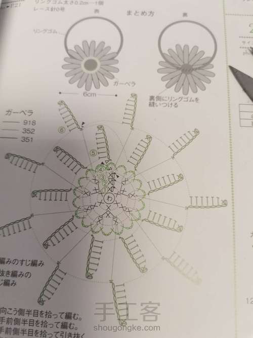 非洲菊发绳 第8步