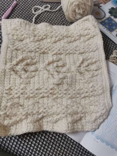 阿兰花样方形坐垫 第7步