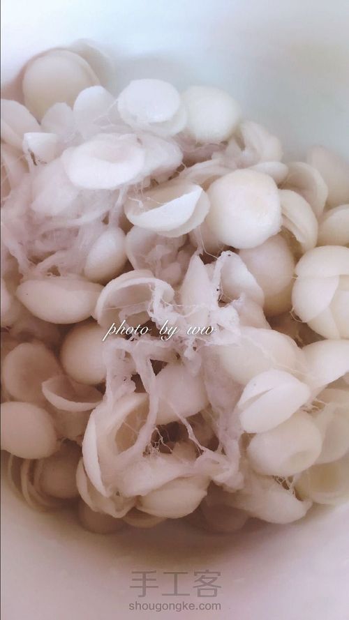 蚕丝手工皂 第1步