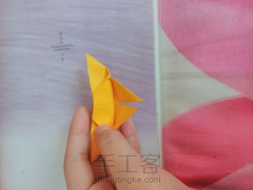 蝴蝶教程。 第14步