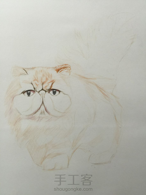 彩铅教程｜学画一只呆萌的彩铅胖猫，喜欢的带走！ 第1步