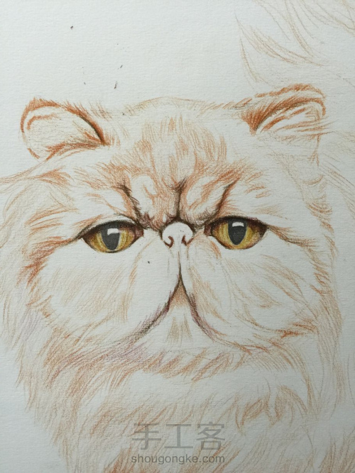 彩铅教程｜学画一只呆萌的彩铅胖猫，喜欢的带走！ 第3步