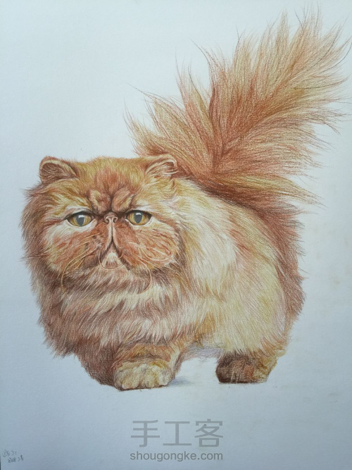 彩铅教程｜学画一只呆萌的彩铅胖猫，喜欢的带走！ 第6步