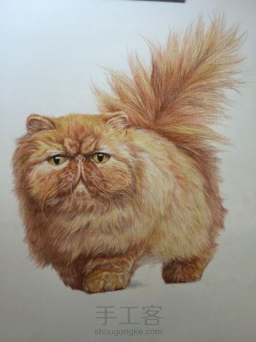 彩铅教程｜学画一只呆萌的彩铅胖猫，喜欢的带走！ 第9步