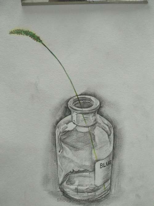 零基础学素描|素描玻璃瓶加彩铅小草一支 第11步