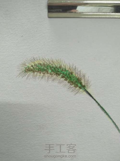 零基础学素描|素描玻璃瓶加彩铅小草一支 第12步