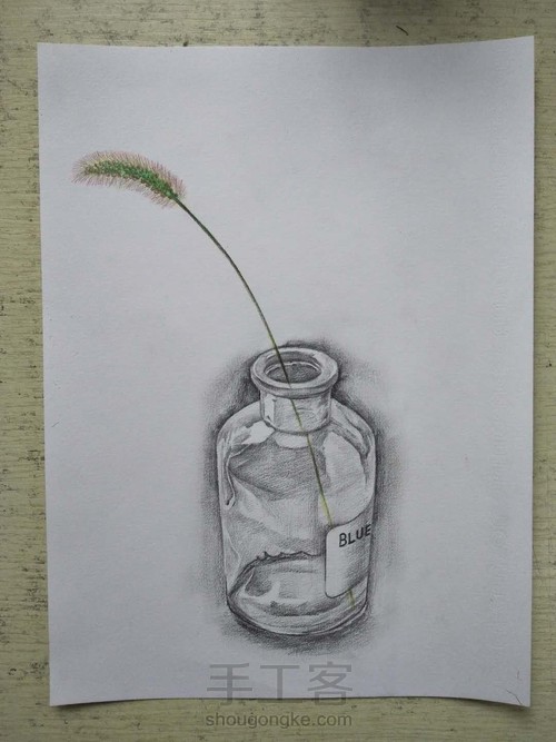 零基础学素描|素描玻璃瓶加彩铅小草一支 第13步
