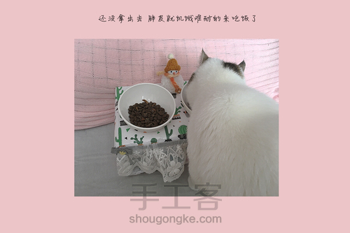 自制猫食碗架 第7步