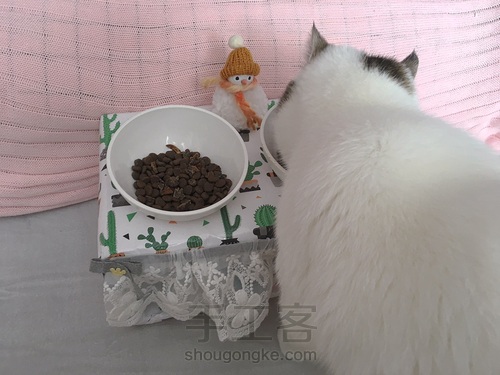 自制猫食碗架 第8步