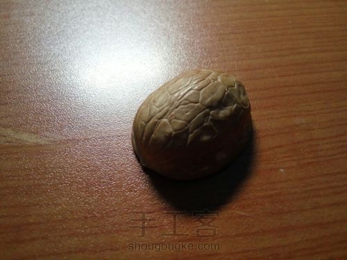 小小乌龟～ 第1步