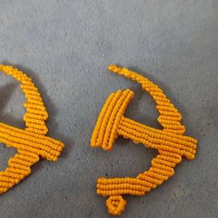 仿蒯中民老师党徽2