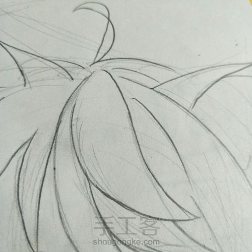 漫画女孩手绘教程 第20步