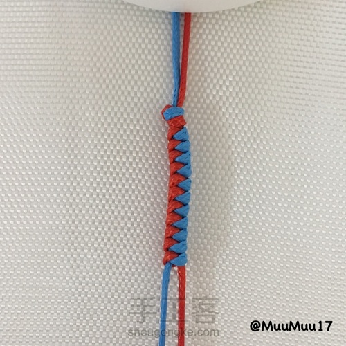 双色蛇结基础 第6步