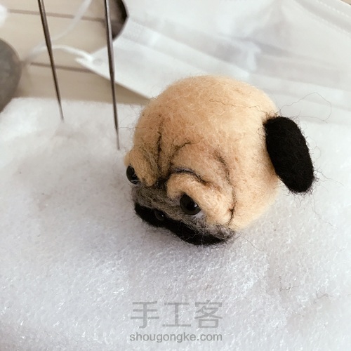 委屈巴巴的巴哥犬 第6步