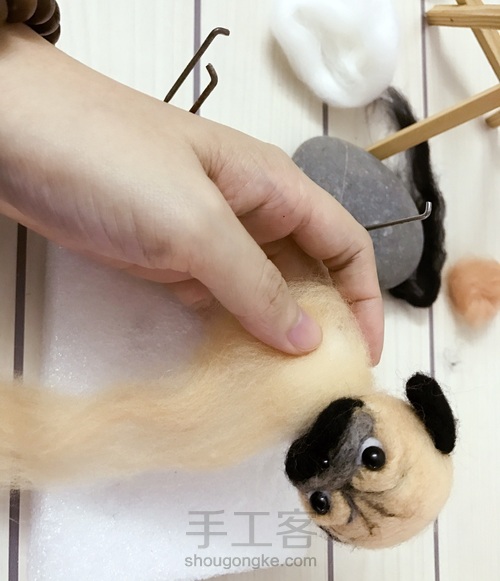 委屈巴巴的巴哥犬 第8步