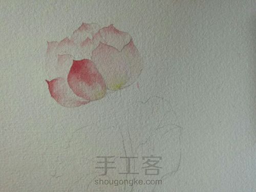 古风水彩单支荷花 第3步